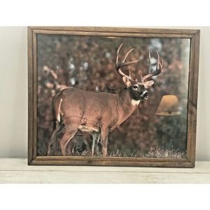 Vintage Big Buck Deer in Nature Forest Wood Framed Print 18x22 Man Cave Cabin